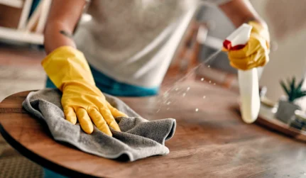 House Cleaning Services